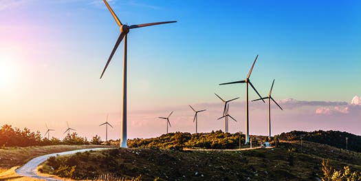 FYI: Do Wind Farms Make It Less Windy?