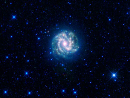 Located 15 million light-years away in the constellation Hydra, the Southern Pinwheel is so named because it shows up in the southern sky. Though a bit fuzzier than some of WISE's other work, it's remarkable in the way it shows the structure of the galaxy's spiral arm. The Southern Pinwheel is about half as big as the Milky Way.