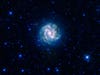 Located 15 million light-years away in the constellation Hydra, the Southern Pinwheel is so named because it shows up in the southern sky. Though a bit fuzzier than some of WISE's other work, it's remarkable in the way it shows the structure of the galaxy's spiral arm. The Southern Pinwheel is about half as big as the Milky Way.