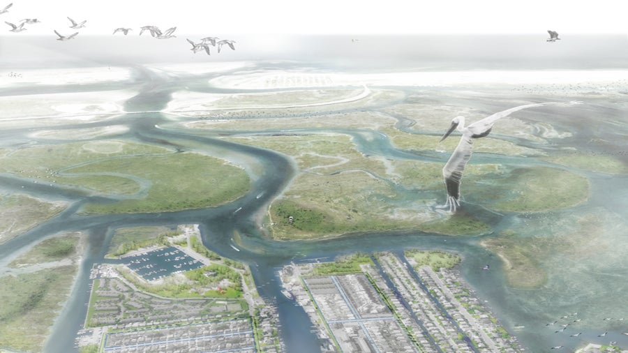 The design team's “buffered bay” scenario includes restoring or replacing coastal marshlands along Nassau County's southern coastline, to help protect areas inland while also improving the bay's water quality, wildlife habitat, and coastal recreation options. They would be coupled with improved "housing options in high and dry areas near public transportation" to lessen the human and infrastructure costs of the next superstorm.