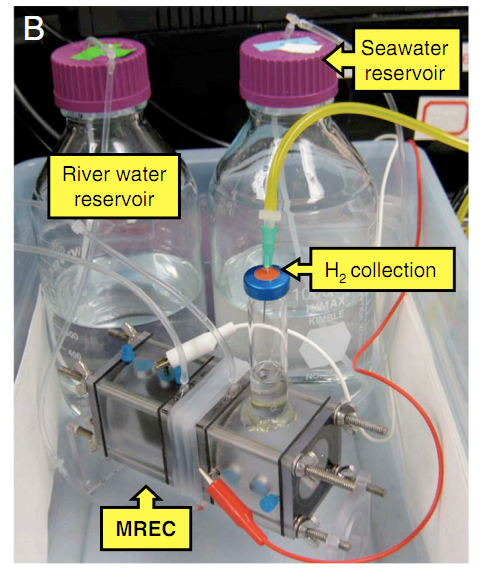 Using a pump, liquid flows continuously between a seawater bottle and a freshwater bottle. The system is called a microbial reverse-electrodialysis electrolysis cell.