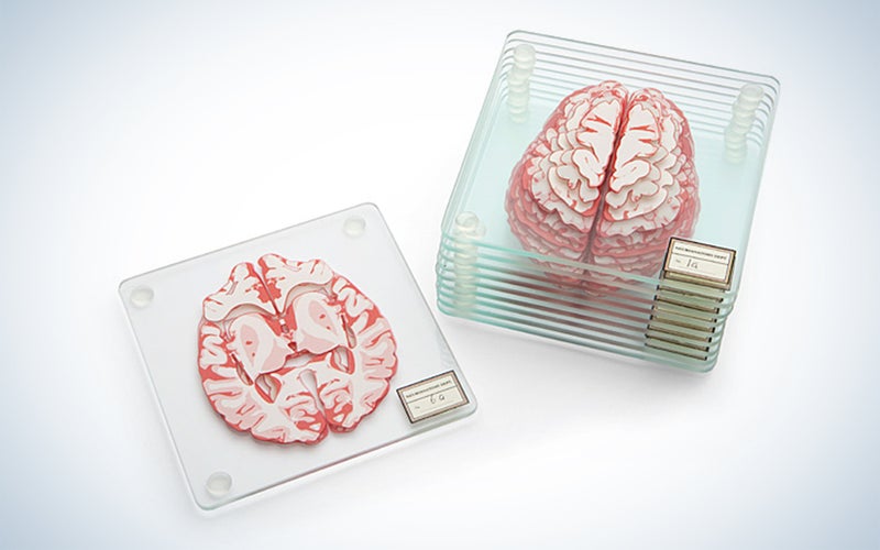 Brain specimen coasters