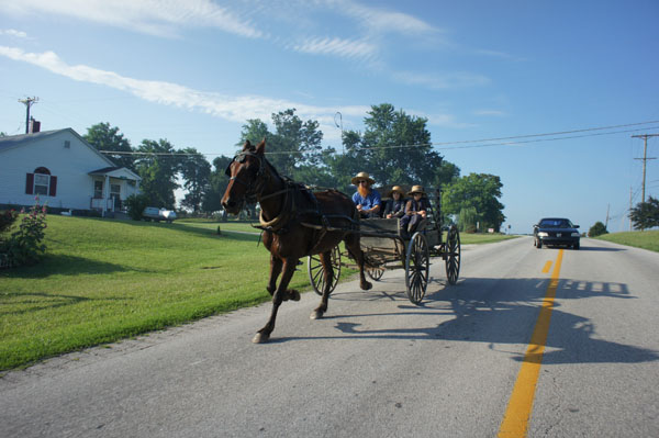 In Which We Compare Our Electric Vehicle to the Organic Vehicle–the Amish Horse and Buggy