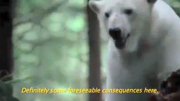 Video: Polar Bear Asks Electric Car Driver To Stop Melting His Home