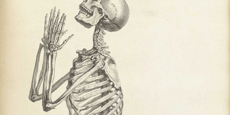 7 Fantastic Vintage Anatomy Drawings