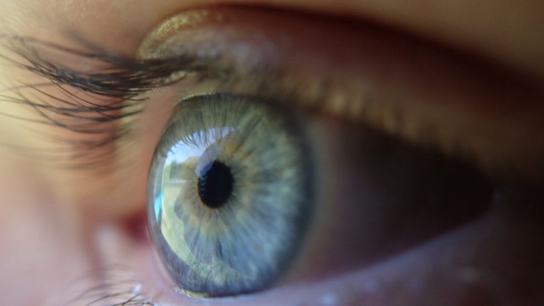 The Human Eye Can See Individual Particles Of Light