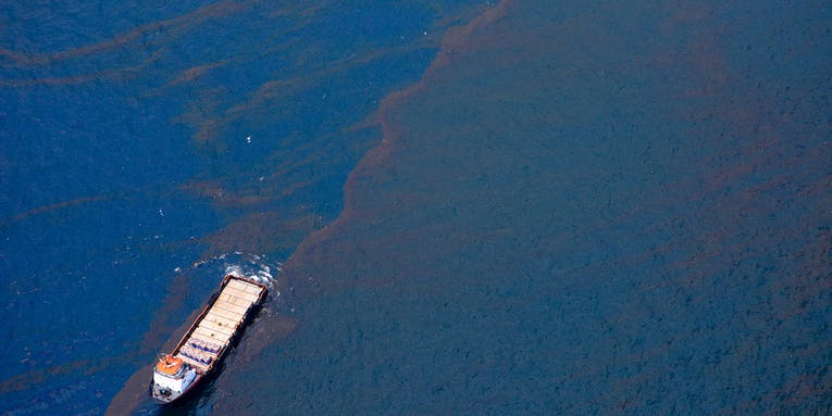 Oil Spills: Uncovering A Battle Between Technology and Ecology