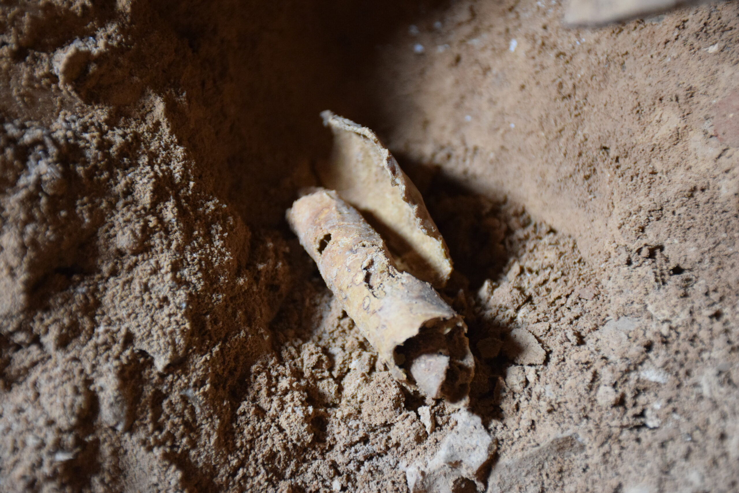 Scientists just found signs of a stolen Dead Sea Scroll