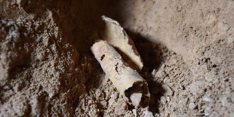 Scientists just found signs of a stolen Dead Sea Scroll