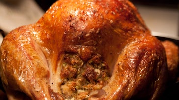stuffing in turkey