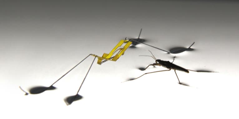 Insect-Like Robot Can Jump On Water