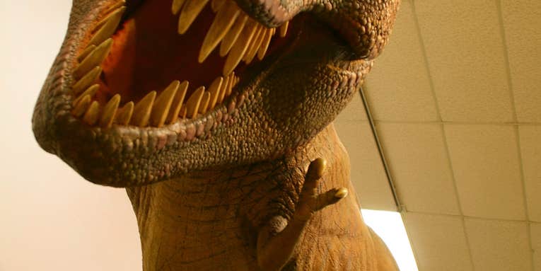 We Asked An Extinct Tyrannosaurus Rex The Hard Questions