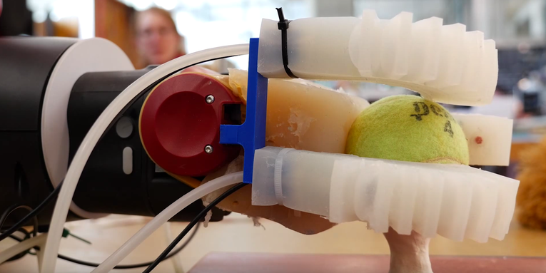 This 3D Printed Robot Can Pick Up Even Your Most Fragile Mess