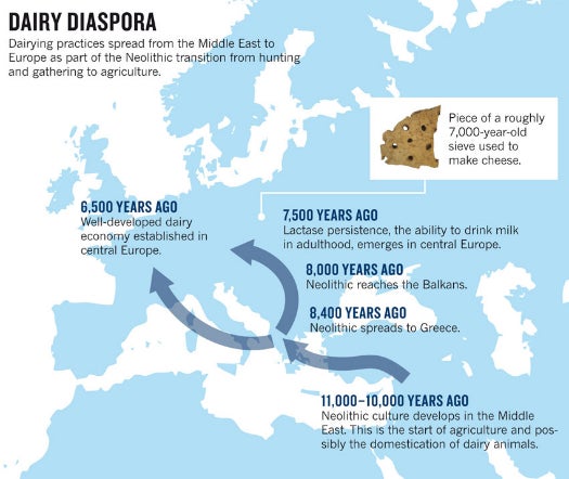 Dairy Diaspora Map