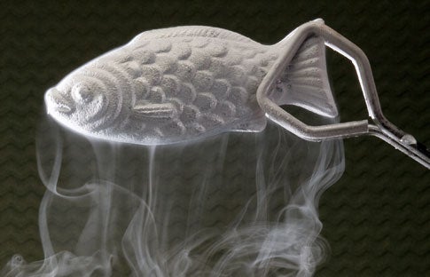 A fish sculpture made out of mercury that's been frozen by liquid nitrogen.