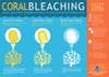 Coral Bleaching guide