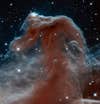 Wispy pink gas and stars that together resemble the head of a horse