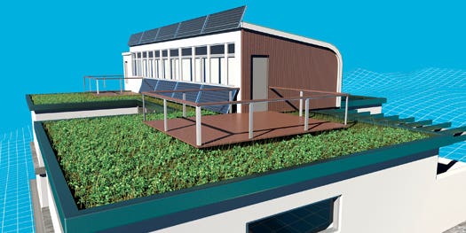 Green Dream: Installing a Rooftop Garden