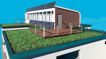 Green Dream: Installing a Rooftop Garden