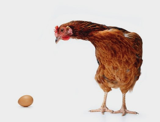 FYI: Which Came First, The Chicken Or The Egg?