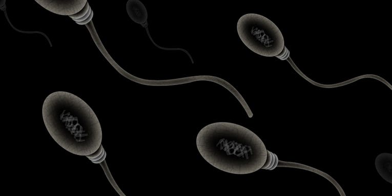 Chinese Scientists Turn Mouse Stem Cells Into Working Sperm Cells