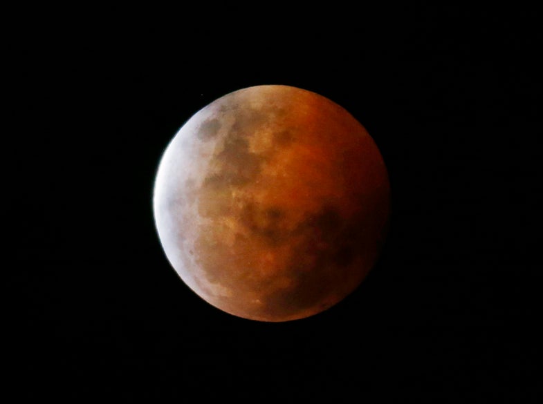 A total lunar eclipse, also known as a "blood moon", is pictured from Gosford, north of Sydney, October 8, 2014. The coppery, reddish color the moon takes is made as it passes into Earth's shadow. The total eclipse is the second of four over a two-year period that began April 15 and concludes on Sept. 28, 2015. The so-called tetrad is unusual because the full eclipses are visible in all or parts of the United States, according to retired NASA astrophysicist Fred Espenak. REUTERS/Jason Reed (AUSTRALIA - Tags: SOCIETY ENVIRONMENT TPX IMAGES OF THE DAY) - RTR49D02