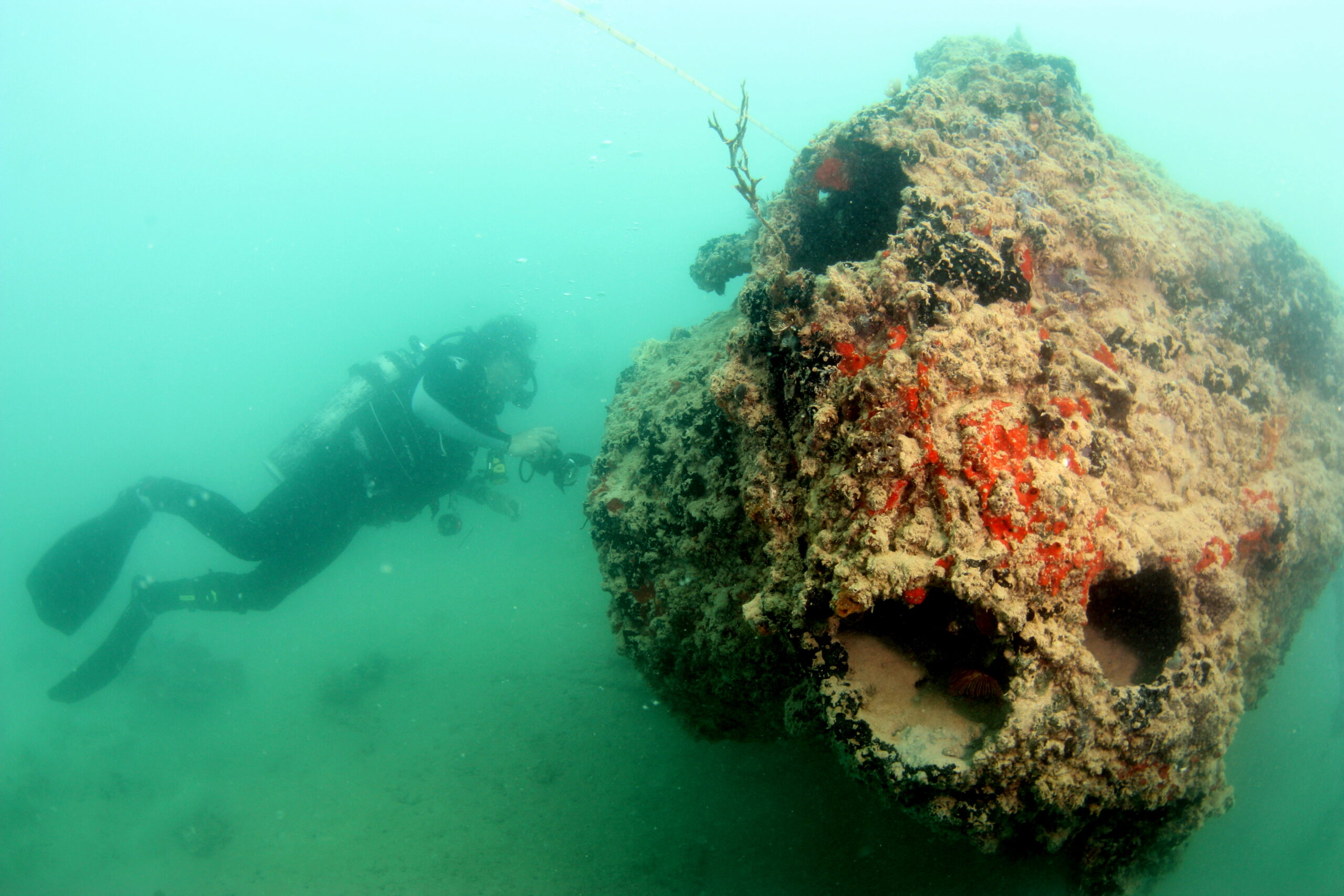 Video: Sunken Seaplane Was One Of The First Victims Of Pearl Harbor