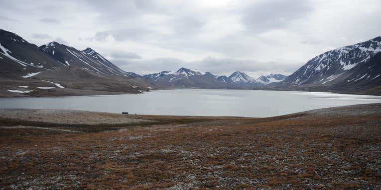 Weird, Extra Small Viruses Discovered In Remote Arctic Lakes