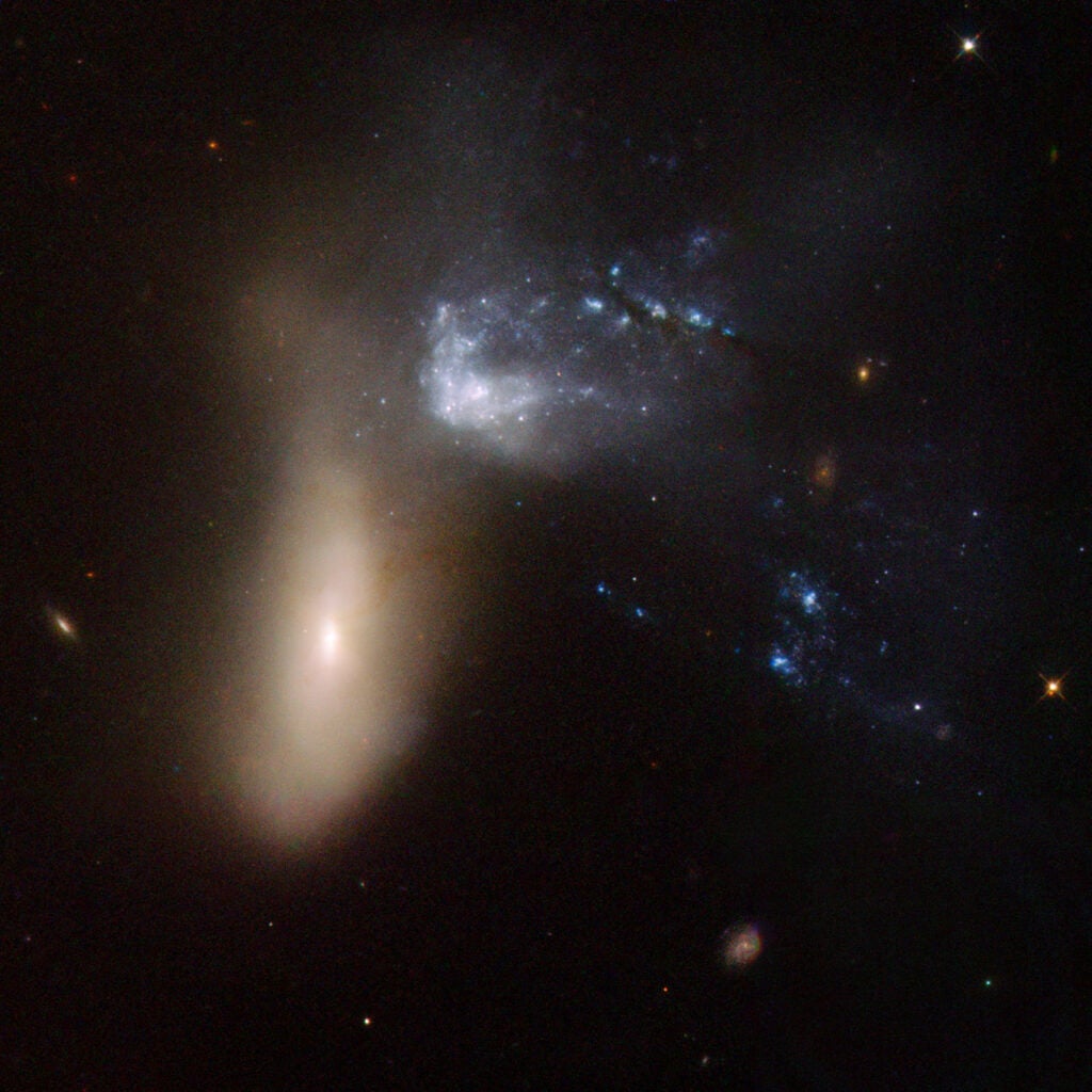NGC 454 is galaxy pair comprising a large red elliptical galaxy and an irregular gas-rich blue galaxy. The system is in the early stages of an interaction that has severely distorted both components. The three bright blue knots of very young stars to the left of the two main components are probably part of the irregular blue galaxy. Although the dust lanes that stretch all the way to the center of the elliptical galaxy suggest that gas has penetrated that far, no signs of star formation or nuclear activity are visible. The pair is approximately 164 million light-years away.