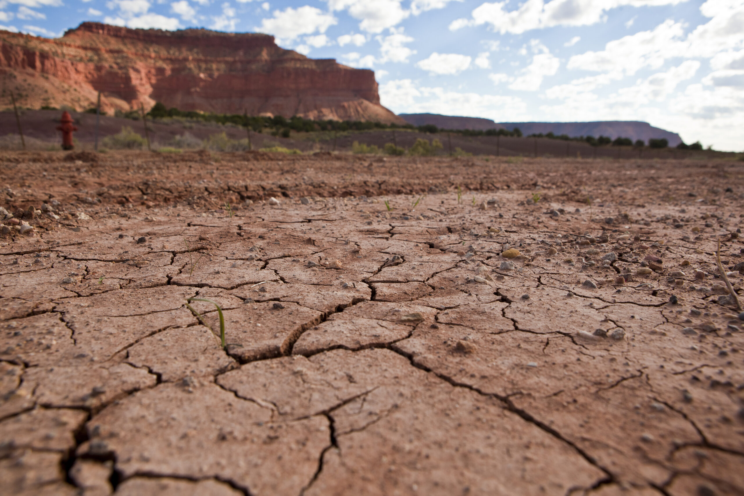 Worst Drought In 1,000 Years Forecasted For The U.S.