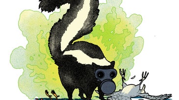 Illustration of a skunk wearing a gas mask and emitting fumes. The skunk is surrounded by unconscious animals. 