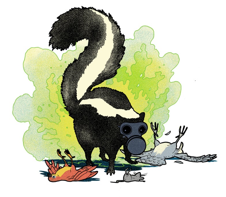 Illustration of a skunk wearing a gas mask and emitting fumes. The skunk is surrounded by unconscious animals.