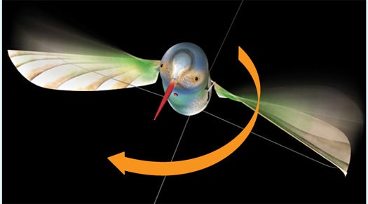 Increased angles mean more thrust. If the Nano Hummingbird sharpens the angle of its right wing on each forward stroke, and does the opposite on each backstroke, the craft rotates clockwise.