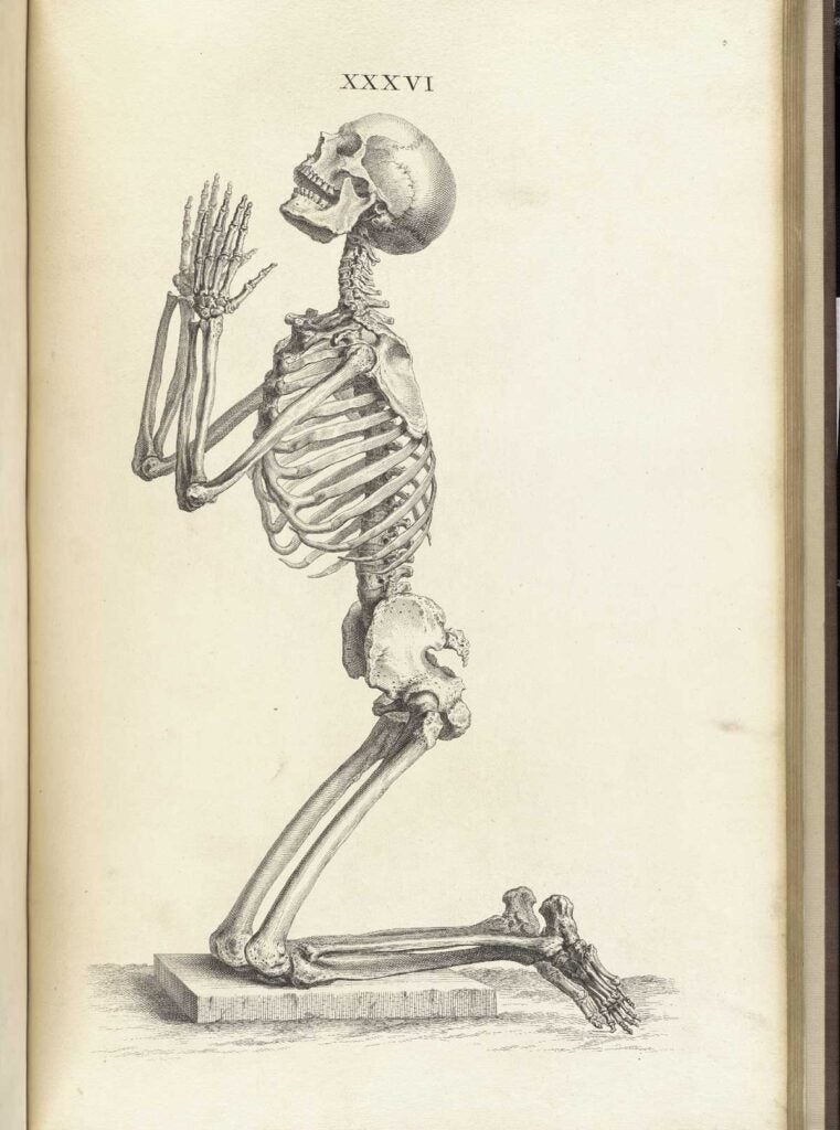 Cheselden was an English surgeon. <a href="http://www.nlm.nih.gov/exhibition/historicalanatomies/cheselden_home.html">His bone illustrations</a> also included the skeletons of animals and people strolling through different landscapes.