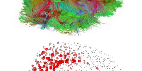 Mapping The Human Mind