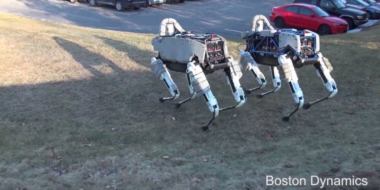 Big Dog Robot Family Gets A Faster, Lighter Little Brother