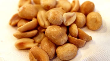 Feeding Peanuts To High-Risk Infants Could Prevent Allergy Development