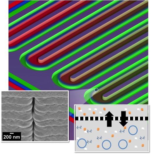 The main image shows the device's reactor and feeder channels, as well as the membrane that separates them. Bottom left, an image of a nanopore. Bottom right, an illustration of how molecules pass from one side of the membrane to the other.