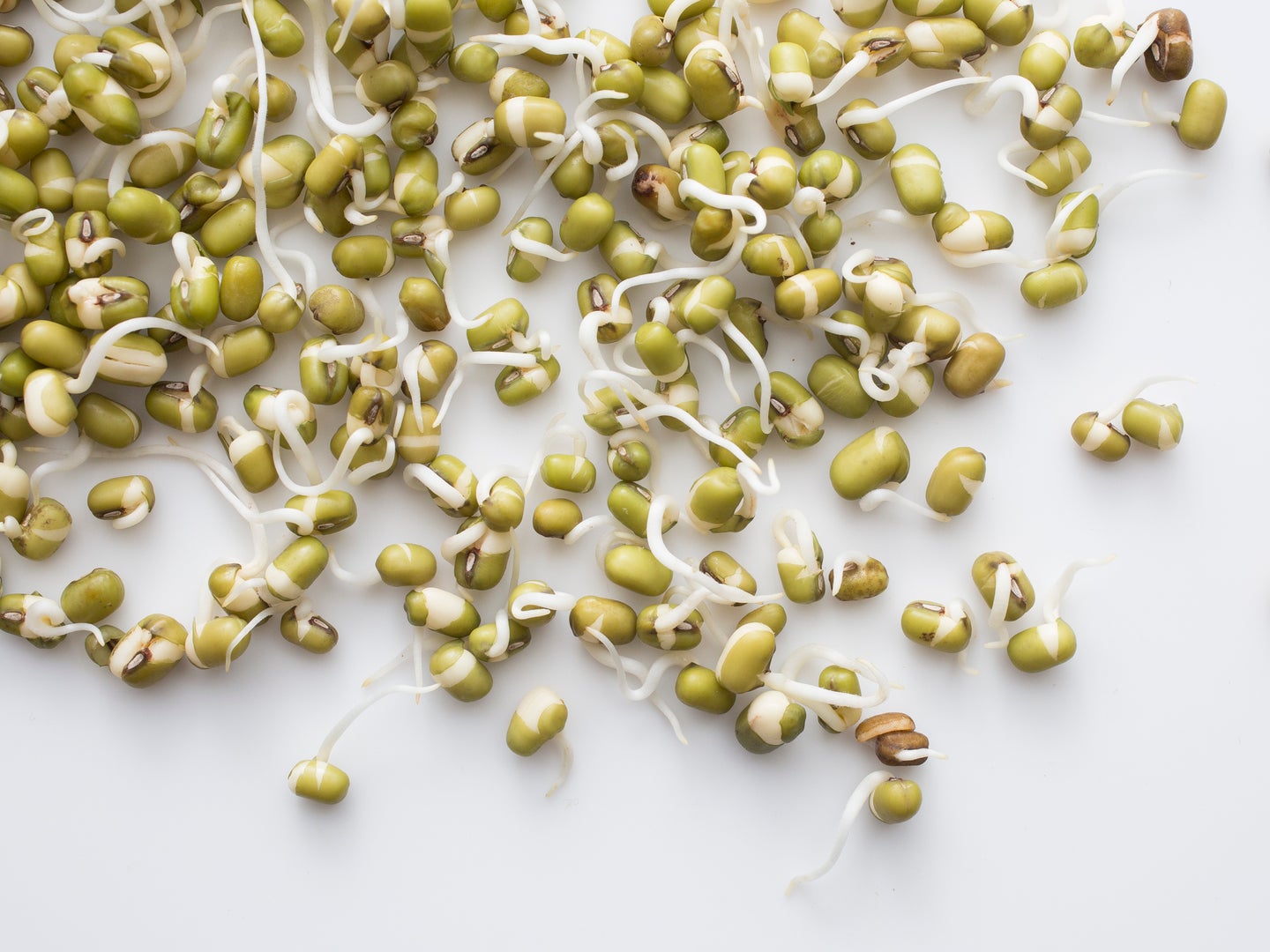 Sprouted Mung Beans