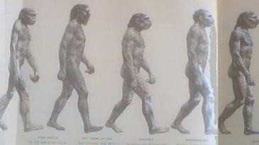 Human Evolution is Coming to a Standstill