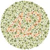 How Mark Changizi Conquered Colorblindness With Glasses