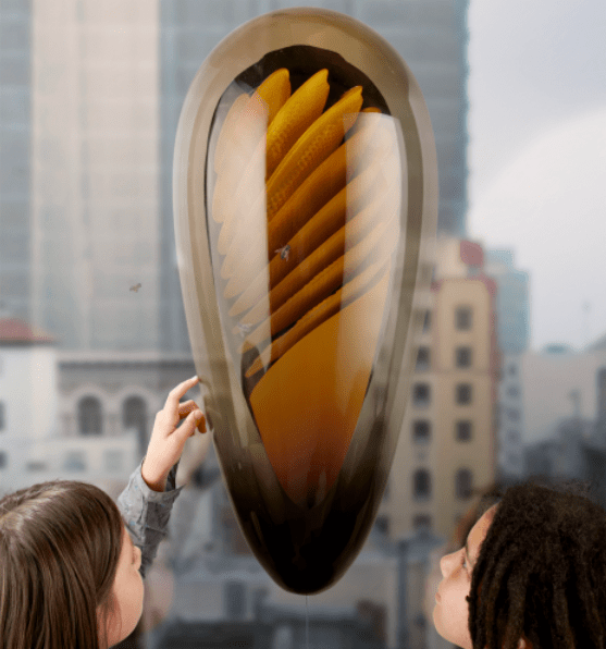Sleek Urban Hive Lets You Keep Bees in the Comfort of Your Apartment