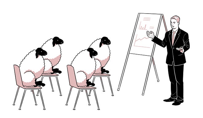 sheep learning from a professor