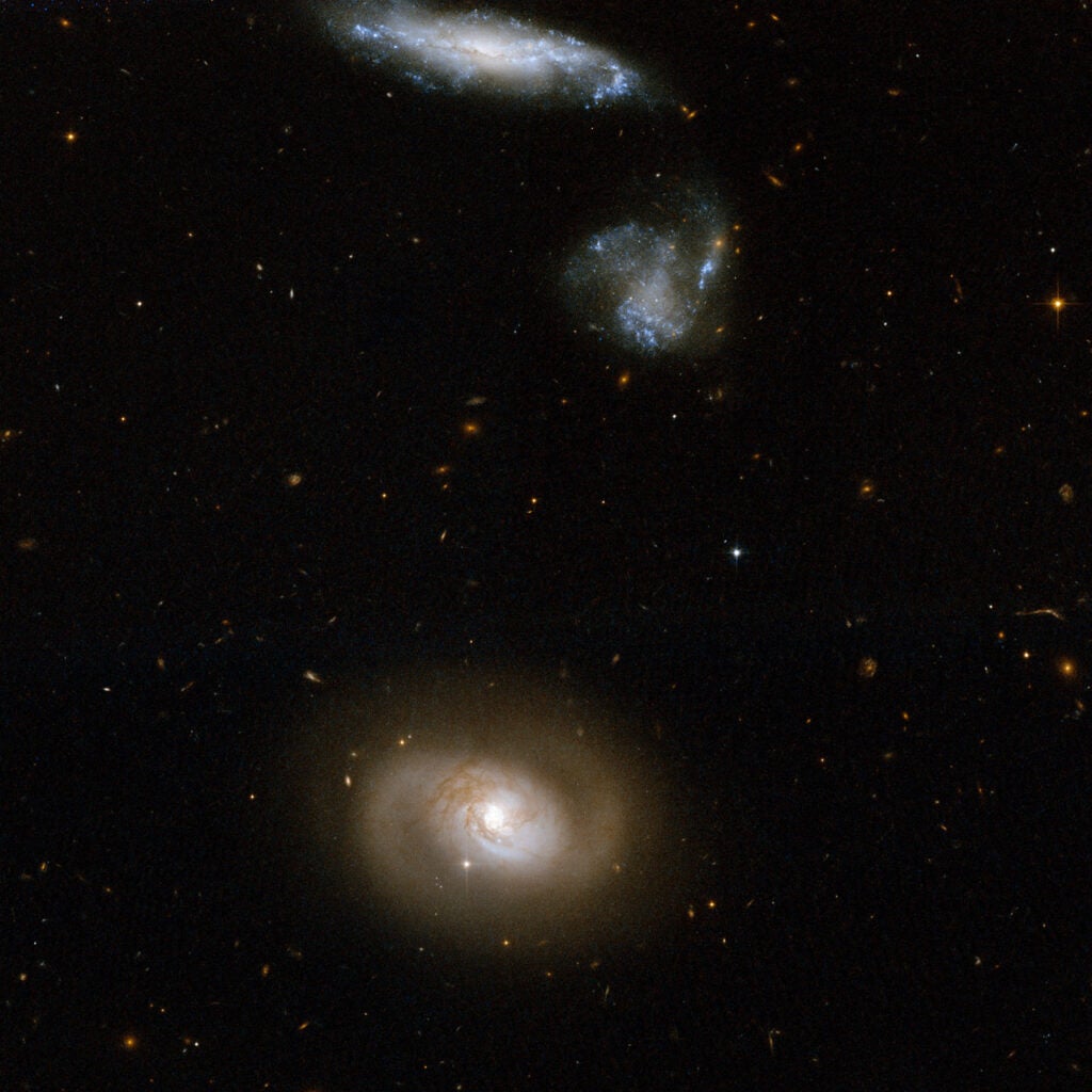 UGC 12812, also known as Markarian 331, is a spiral galaxy with no obvious tidal tails. It is located in the lower part of the Hubble image. Two neighboring blue galaxies are seen at the top of the frame. The galaxy at the very top is embellished by a remarkable number of blue star knots. Observations point to the presence of a giant black hole anchored at the center of the bright core of UGC 12812. The galaxy produces 80 solar masses of new stars on average every year. It is an open question whether Markarian 331 is actually a merging system or whether its infrared brightness stems from another process. UGC 12812 is located in the constellation of Pegasus, the Winged Horse, about 250 million light-years away from Earth.