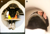 A group of researchers at Emory University trained two dogs to lie patiently inside an MRI tube and keep their furry heads perfectly still while their brains were scanned to see how they reacted to hand signals promising a yummy treat. The full paper can be read <a href="http://papers.ssrn.com/sol3/papers.cfm?abstract_id=2047085">here</a>.
