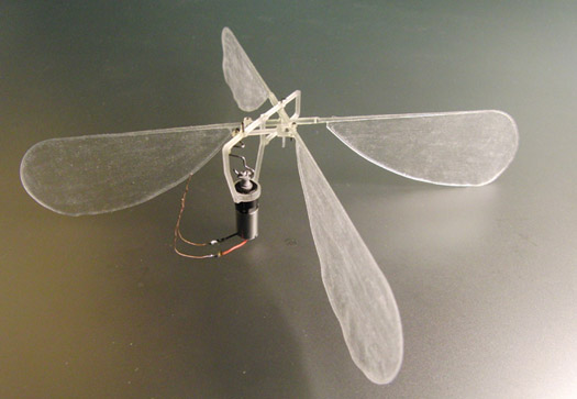 Video: 3-D-Printed Ornithopter Insect Hovers, Flapping Delicate Wings