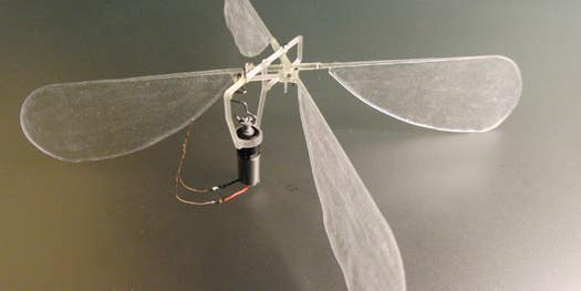 Video: 3-D-Printed Ornithopter Insect Hovers, Flapping Delicate Wings