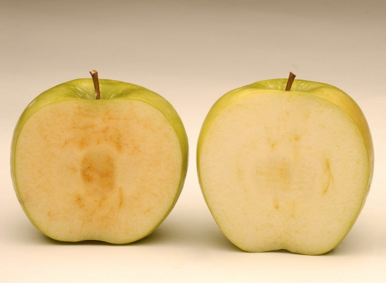 You’ll Be Able To Buy A GMO Apple In 2017