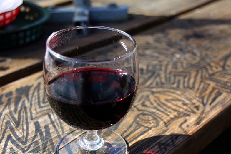 Drink Up! Red Wine Can Counteract the Negative Aftereffects of Space Travel