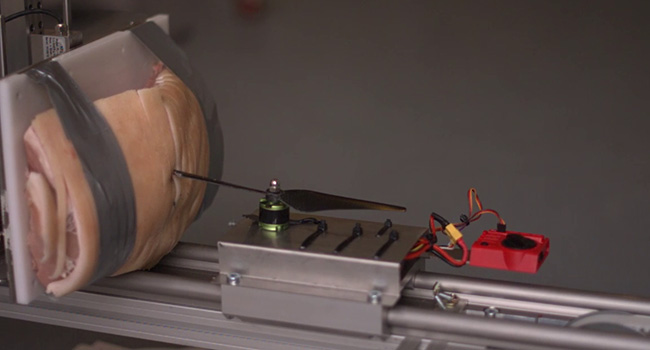 What Happens When A Drone Hits A Pork Roast?